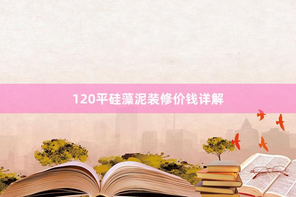 120平硅藻泥装修价钱详解