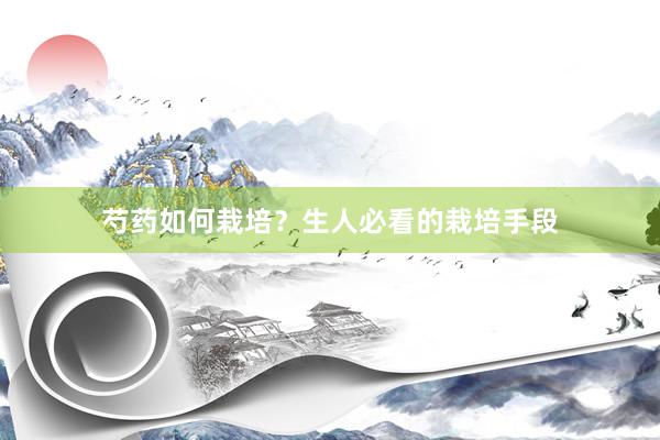 芍药如何栽培？生人必看的栽培手段